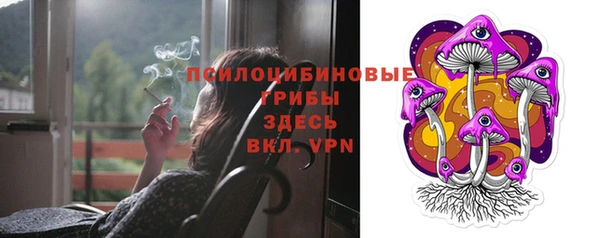 ГАЛЛЮЦИНОГЕННЫЕ ГРИБЫ Алексеевка