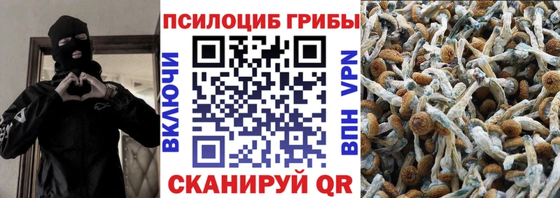 Псилоцибиновые грибы MAGIC MUSHROOMS  даркнет сайт  Ардон 