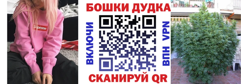 где купить Ардон МАРИХУАНА планчик